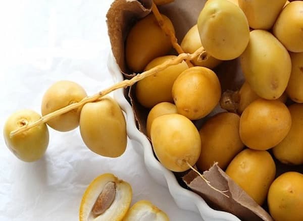 تصویر 4 از قیمت خرید خرما رطب خارک + فروش ویژه